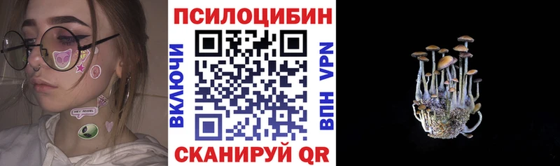 где купить   Горячеводский  Галлюциногенные грибы Magic Shrooms 